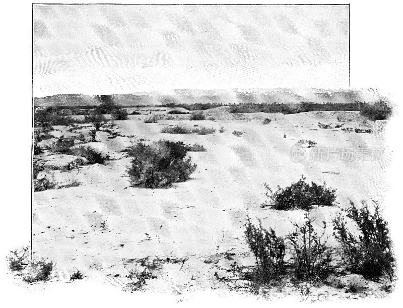 墨西哥的奇瓦瓦沙漠- 19世纪